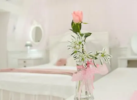 Domus Rosa